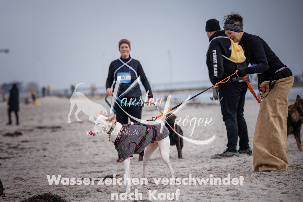 1158_ZZ91497 | kk-dogfotos