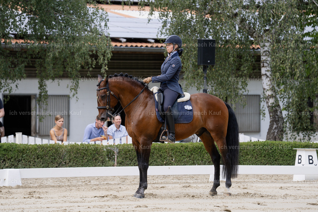 WS_DR_46_sinafilmart_IN02380 | working equitationturnier fotograf videograf stoibphotography marixx film working equitation deutschland reitsport turnierfotografie eventfotografie equestrian events