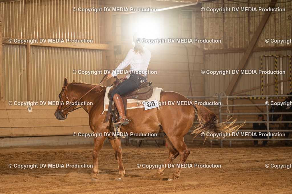 NID03898 | dv-media-shop - Realisiert mit Pictrs.com