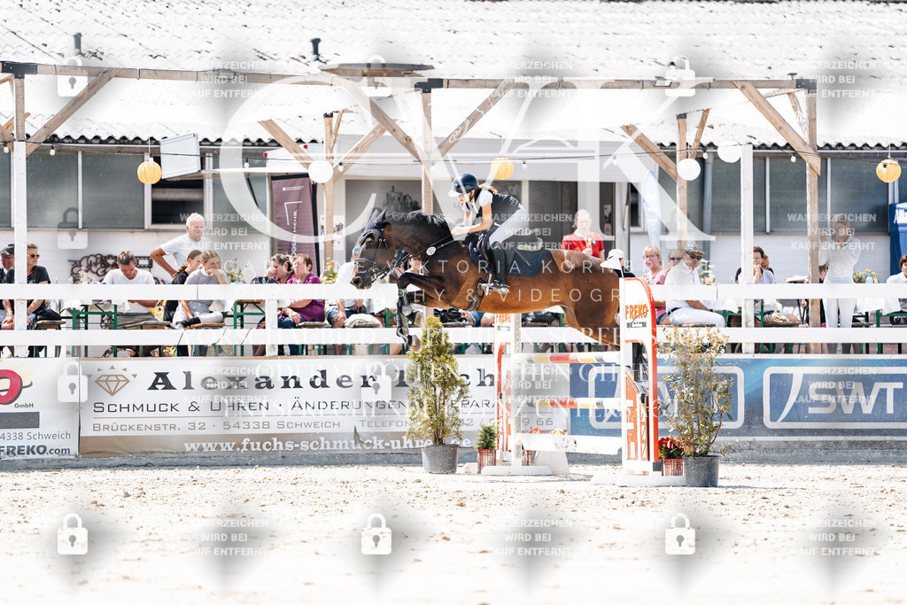 CK900056 | Turnierfotografie Pferdefotografie Trier Rheinland-Pfalz Pferdesport Reitsport Tierfotografie Sportfotografie Pferdevideo Pferdevideografie Equestrianvideography equestrianphotography  - Realisiert mit Pictrs.com
