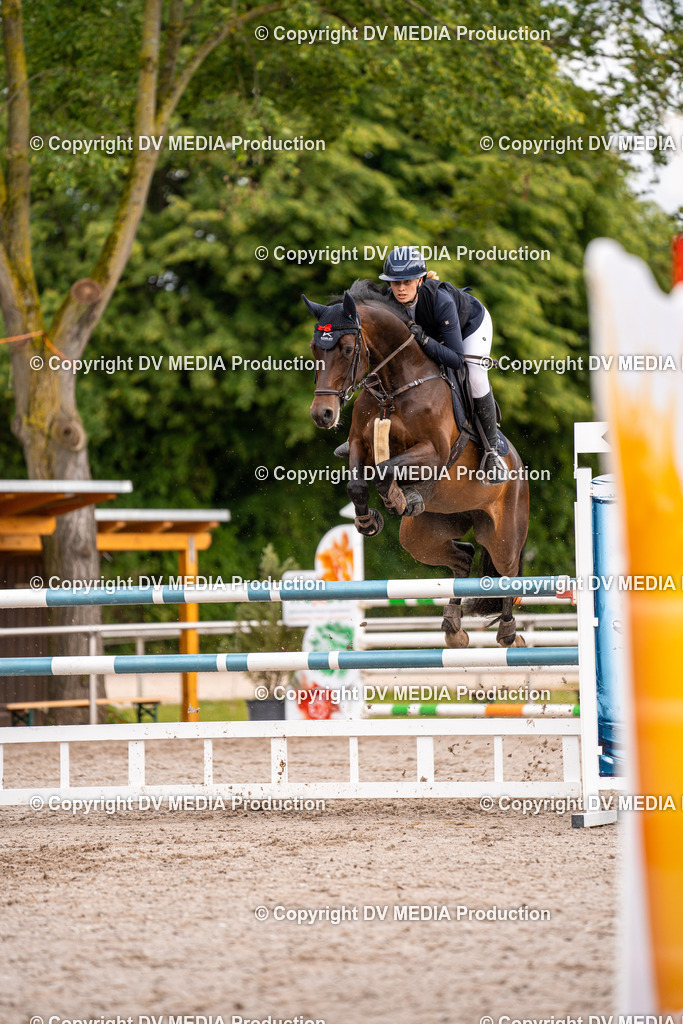 Eppelheim Tag 3-22 | dv-media-shop - Realisiert mit Pictrs.com