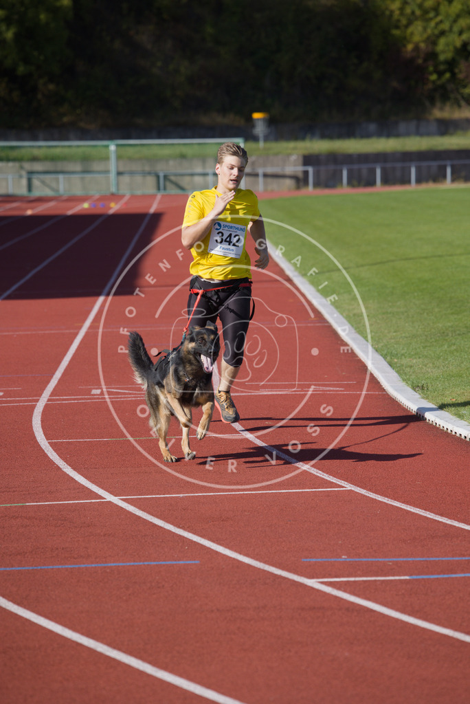 0L8A9039 | Hundefotografie, Tierfotograf, Pfotenfotografie, Fotoshooting Hund, Hunde Portrait, Hundesport, Hundeportraits, Heideshooting, Hunde, Sportfotograf, Hundefotograf, Turnierhundsport, THS,  - Realisiert mit Pictrs.com