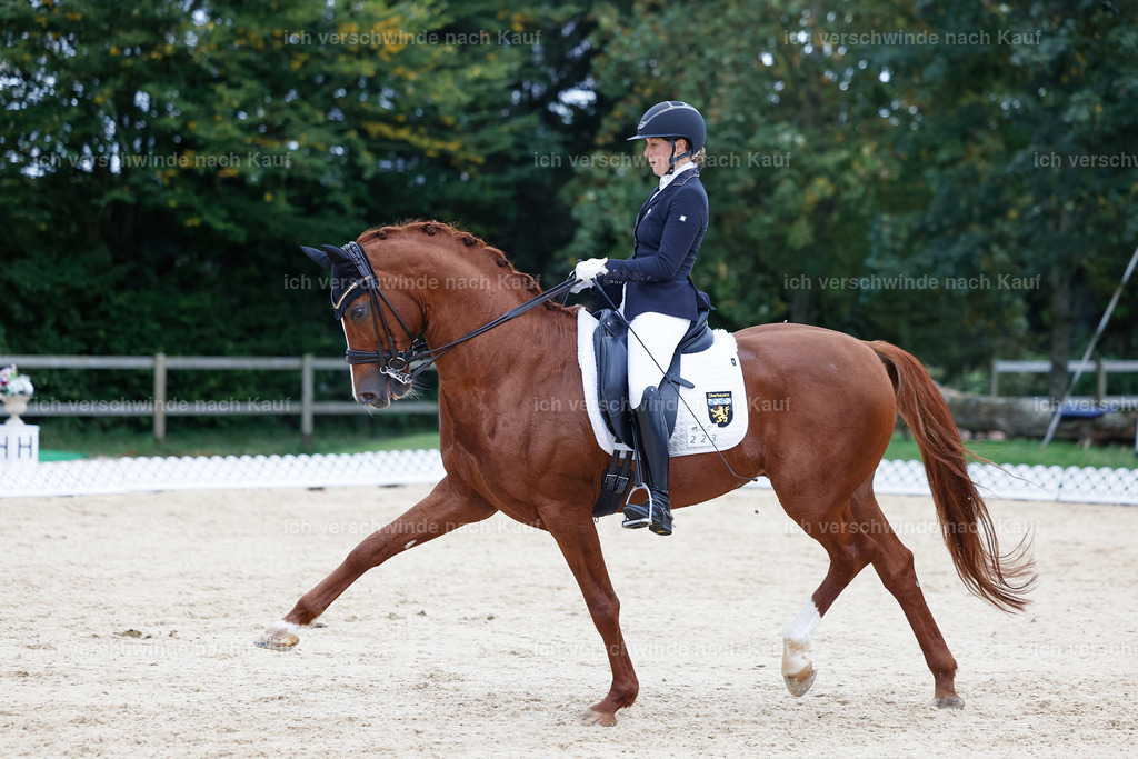 04_2-223-Dressur M__ -StoibPH-2958 | working equitationturnier fotograf videograf stoibphotography marixx film working equitation deutschland reitsport turnierfotografie eventfotografie equestrian events