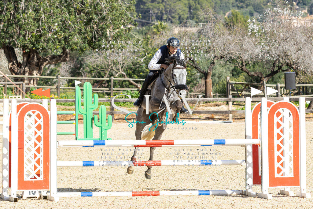 IMG_4120 | s-jay-photography - Realisiert mit Pictrs.com