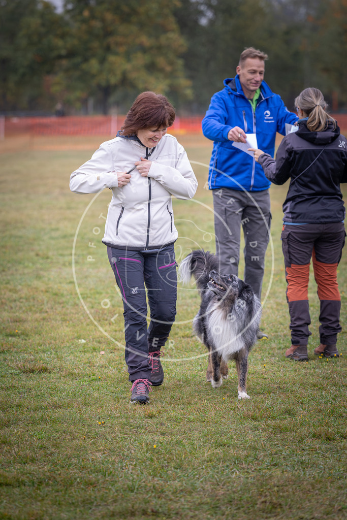 Pfotenfotografie_DV3A9002 | Hundefotografie, Tierfotograf, Pfotenfotografie, Fotoshooting Hund, Hunde Portrait, Hundesport, Hundeportraits, Heideshooting, Hunde, Sportfotograf, Hundefotograf, Turnierhundsport, THS,  - Realisiert mit Pictrs.com