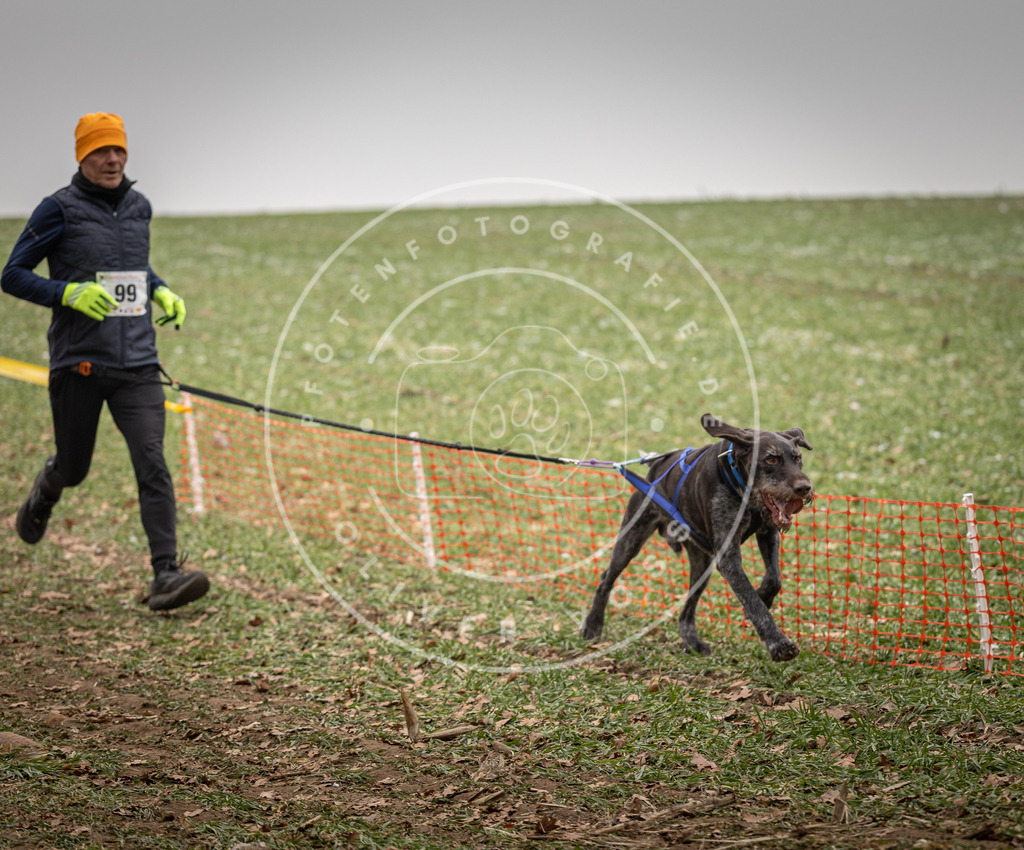 Pfotenfotografie_DV3A4957 | Hundefotografie, Tierfotograf, Pfotenfotografie, Fotoshooting Hund, Hunde Portrait, Hundesport, Hundeportraits, Heideshooting, Hunde, Sportfotograf, Hundefotograf, Turnierhundsport, THS,  - Realisiert mit Pictrs.com