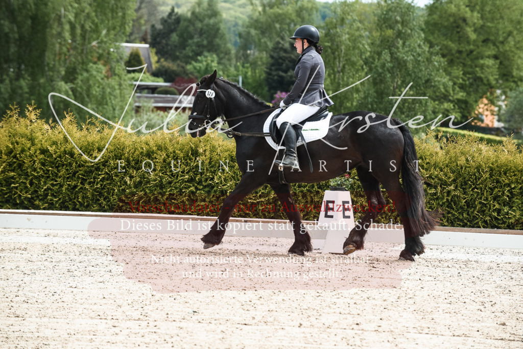 20230518_JK-Röhrsdorf-11-0028 | Pferde- und Turnierfotografie in Westsachsen. Pferdeportraits, Auftragszeichnungen und intuitive Kunst.