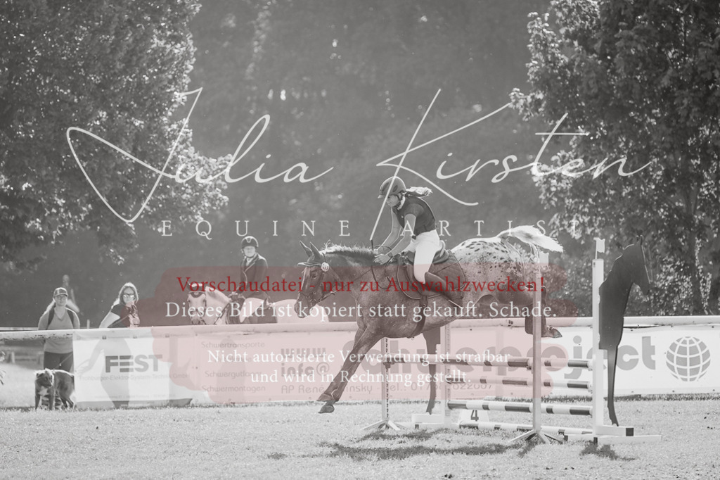 DSC_4486 | Pferde- und Turnierfotografie in Westsachsen. Pferdeportraits, Auftragszeichnungen und intuitive Kunst.