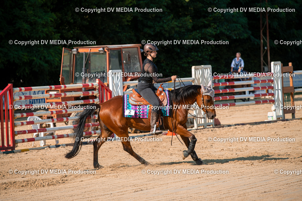 ZS2_8864 | dv-media-shop - Realisiert mit Pictrs.com