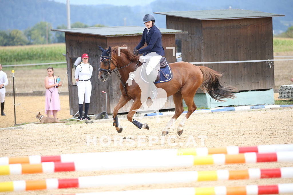 DL2Q3398 | Willkommen bei Brunnmayr - Design & Fotografie – Ihrem Spezialisten für Reitturniere und Pferdeveranstaltungen in Oberösterreich, Salzburg und Bayern! Seit über 17 Jahren sind wir leidenschaftlich dabei.