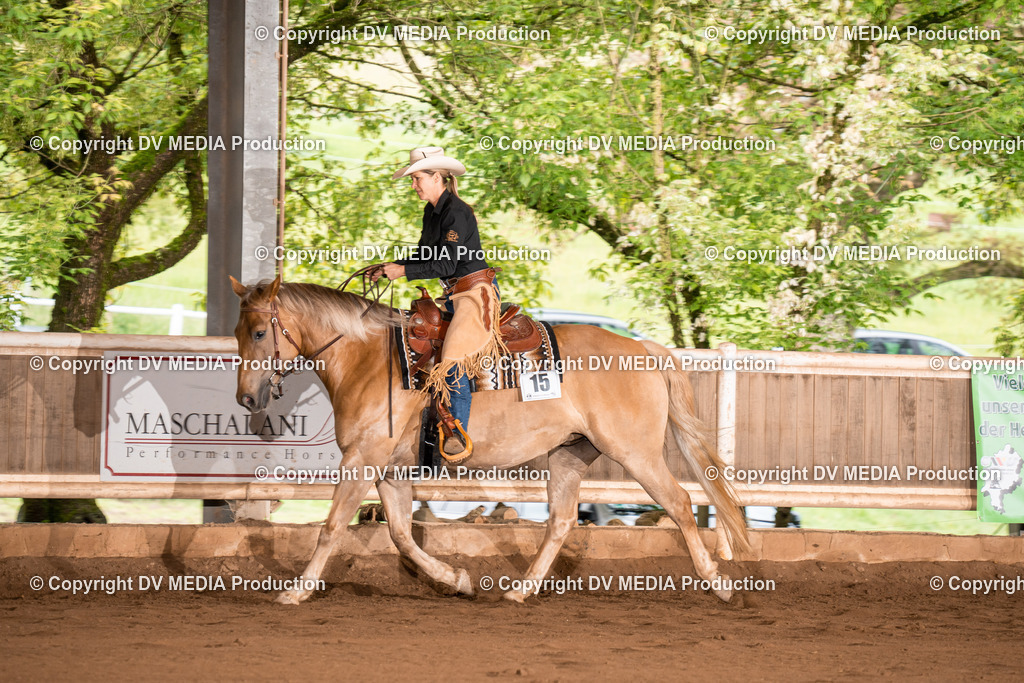 Erbach Tag 4-784 | dv-media-shop - Realisiert mit Pictrs.com