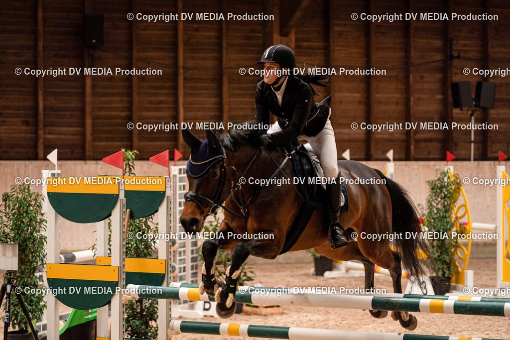 Springen Tag 2-450 | dv-media-shop - Realisiert mit Pictrs.com