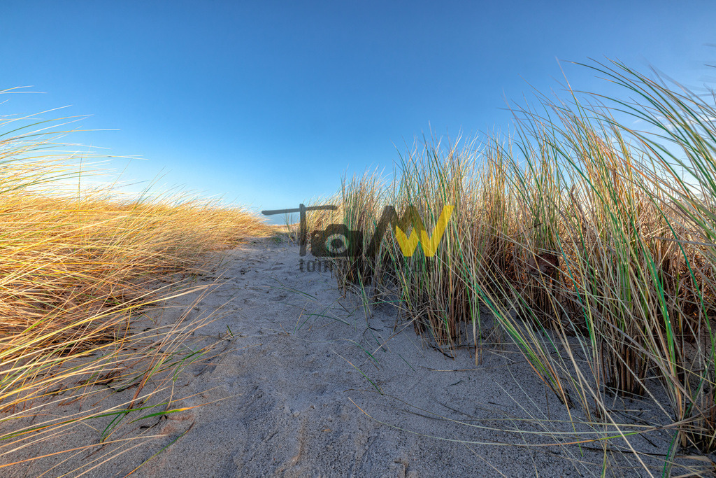 Schöner Strandhafer an Sandtrand---idylischen Ostsee | Eine idyllisches Bild der Gräser oder Strandhafer im Sandstrand an der Ostsee - Realisiert mit Pictrs.com