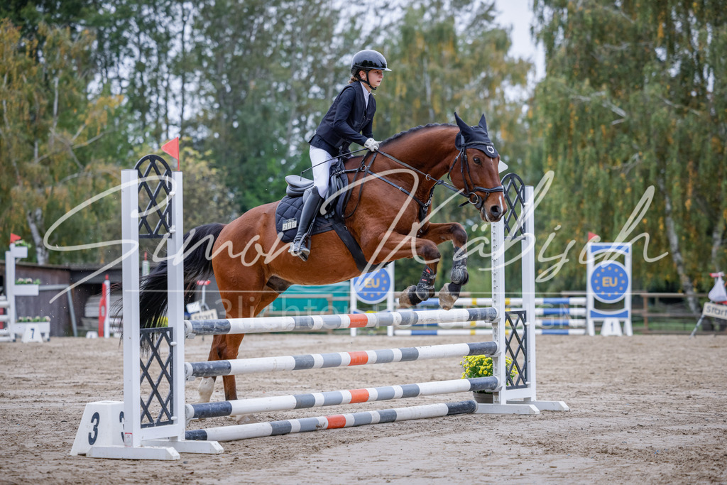 20251012-_3LI3394 | Tierfotografie Pferde, Hunde, Katzen, Haustiere.
Turnierfotografie Reitturniere, Reiten, Springreiten, Dressur in Hanau, dem Main-Kinzig-Kreis und dem Rhein-Main- Gebiet um Frankfurt