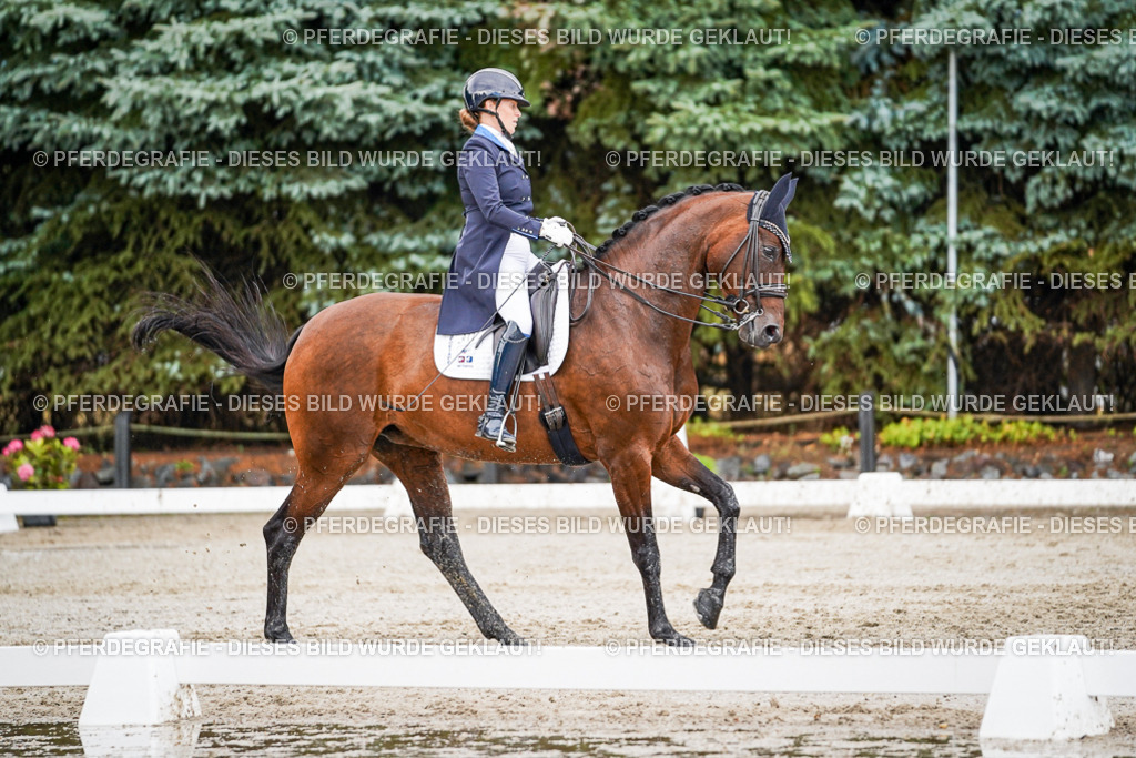 DSC00117 | Pferdegrafie