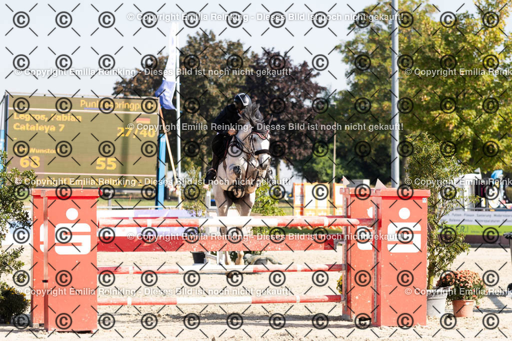 CL5A6185 | Emilia Reinking Fotografie - Realisiert mit Pictrs.com