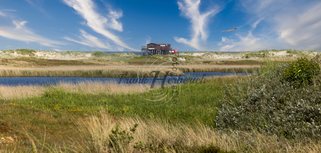 St. Peter Ording | St. Peter Ording - Realisiert mit Pictrs.com