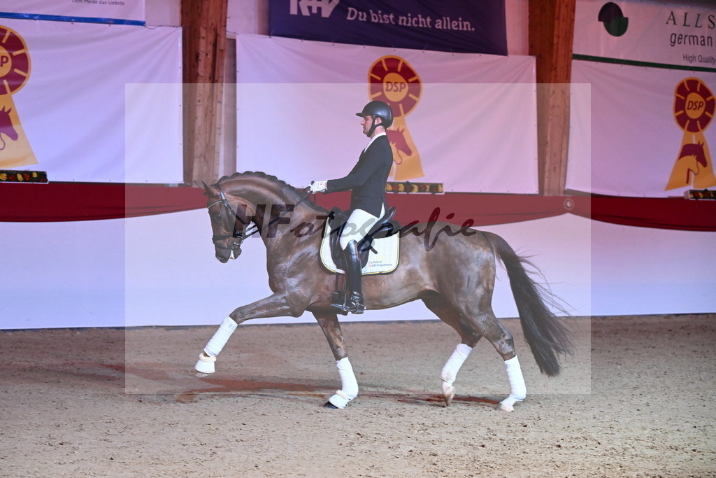 Feliciano_Wadenspanner_2254405 | hf-fotografie - Realisiert mit Pictrs.com