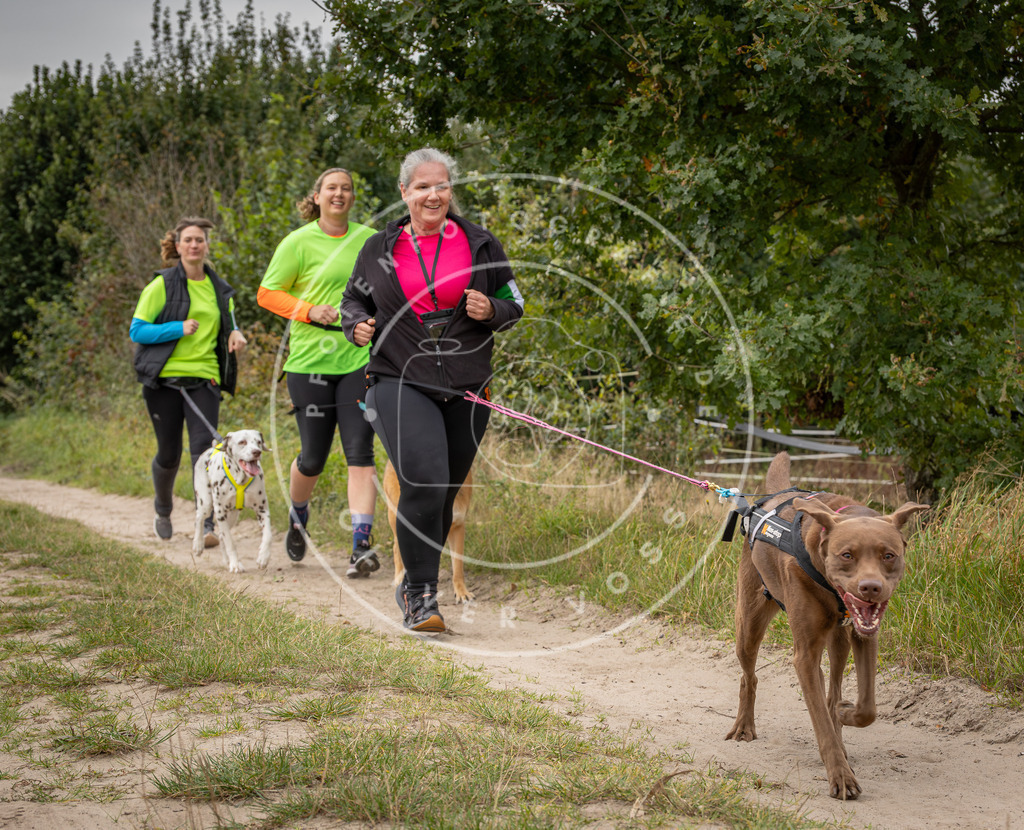 Pfotenfotografie_DV3A6016 | Hundefotografie, Tierfotograf, Pfotenfotografie, Fotoshooting Hund, Hunde Portrait, Hundesport, Hundeportraits, Heideshooting, Hunde, Sportfotograf, Hundefotograf, Turnierhundsport, THS,  - Realisiert mit Pictrs.com