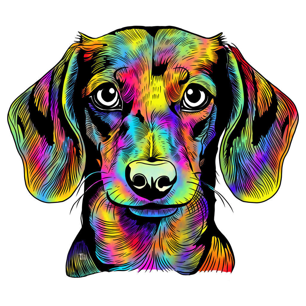 Dackel | Illustrationen, digitalpainting, animals, dogs, hunde, art, Kunst, Illustrationsart, Bielefeld, Germany - Realisiert mit Pictrs.com