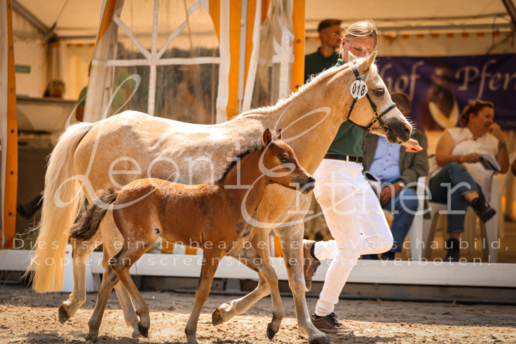 04.DoWP00073 | Leoni Ertmer Photography - Realisiert mit Pictrs.com