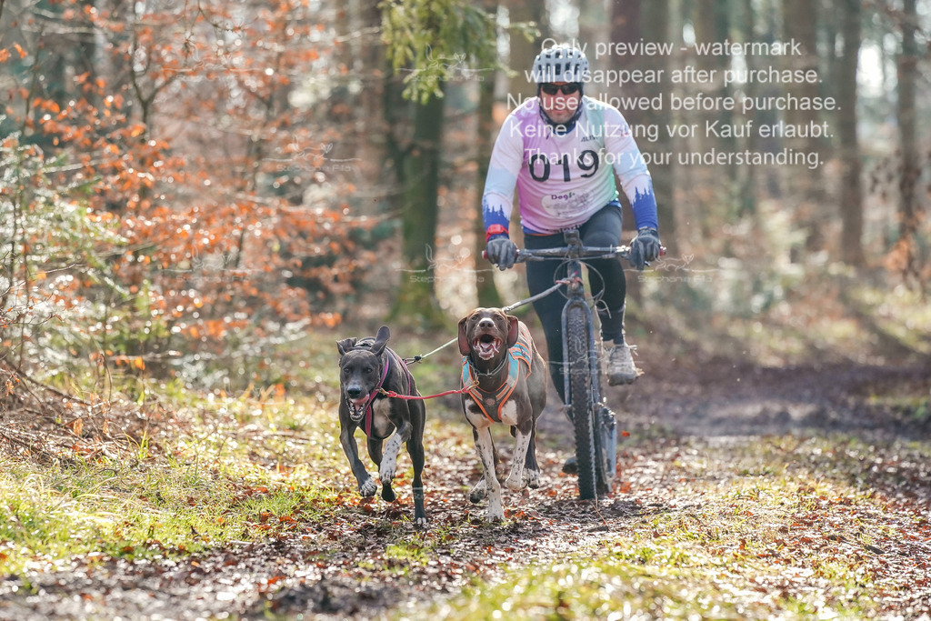 So_Scooter_2-2 | stephaniefillaphotographie - Realisiert mit Pictrs.com