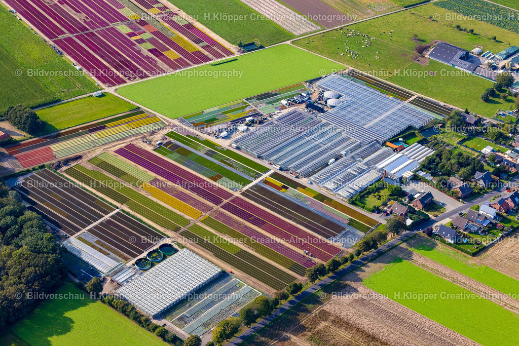 Luftbilder Brüggen Gartenbaubetrieb-3827 | Luftbildfotografie und Luftbildfotograf Hermann Klöpper - Realisiert mit Pictrs.com
