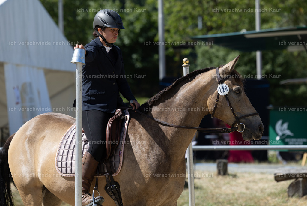 WA_Trail_120_KerstinBernhardt-15 | working equitationturnier fotograf videograf stoibphotography marixx film working equitation deutschland reitsport turnierfotografie eventfotografie equestrian events