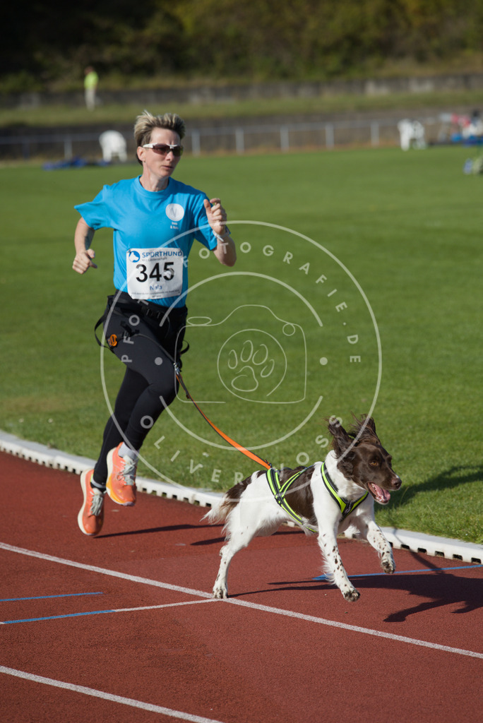 0L8A9150 | Hundefotografie, Tierfotograf, Pfotenfotografie, Fotoshooting Hund, Hunde Portrait, Hundesport, Hundeportraits, Heideshooting, Hunde, Sportfotograf, Hundefotograf, Turnierhundsport, THS,  - Realisiert mit Pictrs.com