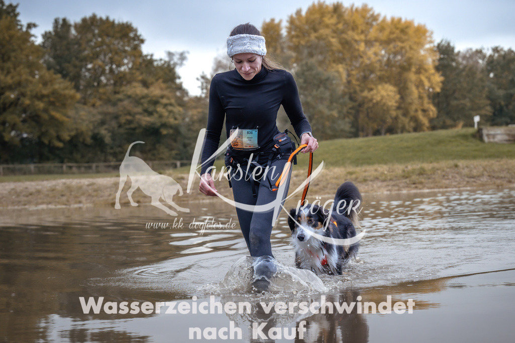 1342_ZZ94638 | kk-dogfotos