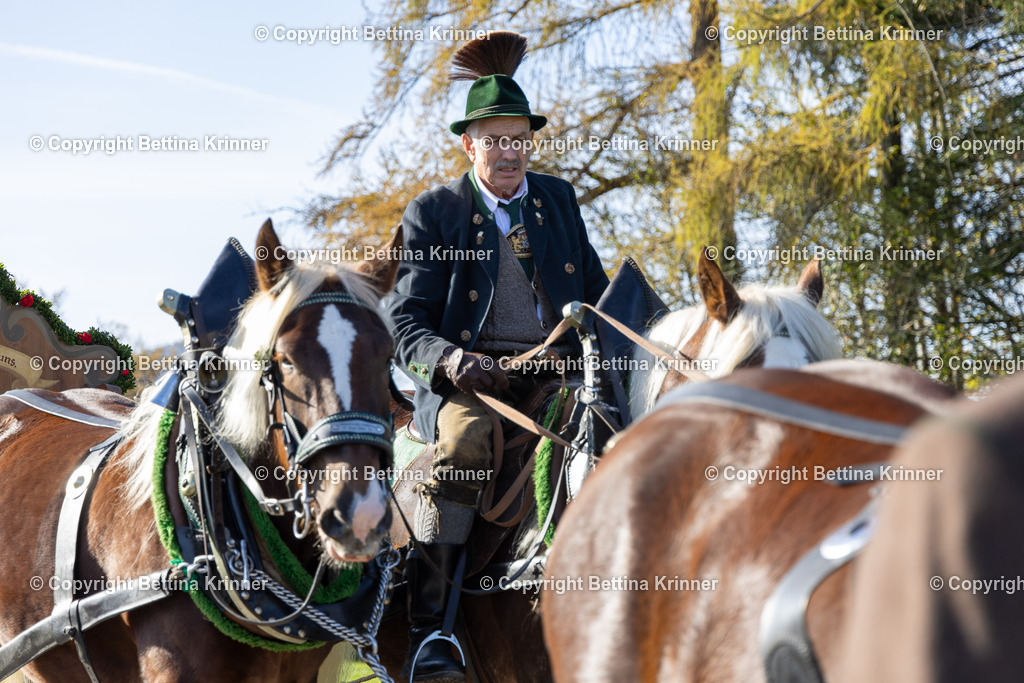 LBT24-1351 | foto-bettina-krinner - Realisiert mit Pictrs.com