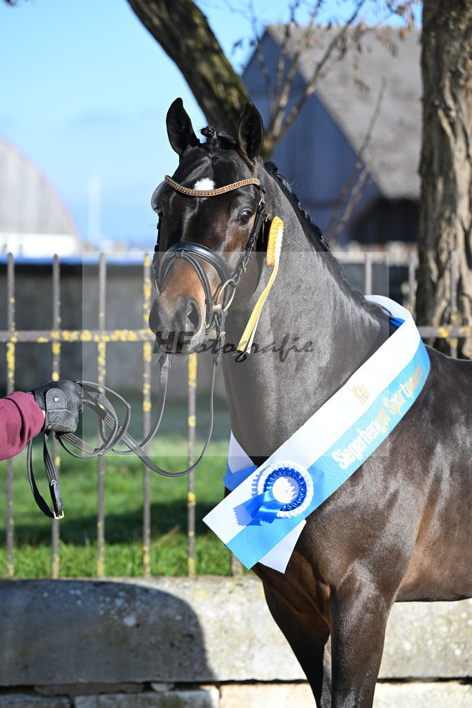 Kat-Nr. 6 Junkbrunnens Nomen est Omen v. Neverland WE_Thomas_49250312 | hf-fotografie - Realisiert mit Pictrs.com