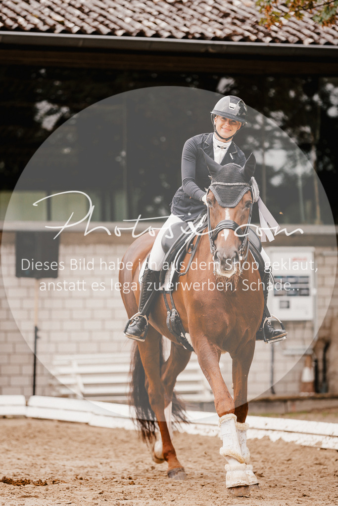 3I6A7885 | Stimmungsvolle Portraits und Reitsportfotografie im Ruhrgebiet und im Münsterland.

Pferdefotografie, Hundefotografie, Tierfotografie, Reportagen, Portraits von Tier und Mensch, Turnierfotografie in Bochum, Recklinghausen, Marl, Haltern am See, Dülmen.. - Realisiert mit Pictrs.com
