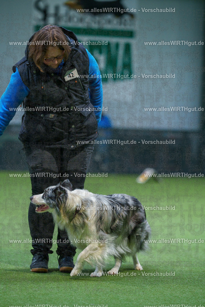 7R506295 | Professionelle Tierfotografie in Mönchengladbach von Daniel Wirth (allesWIRTHgut). Liebevolle & natürliche Bilder von Hunden & Katzen für unvergessliche Erinnerungen.