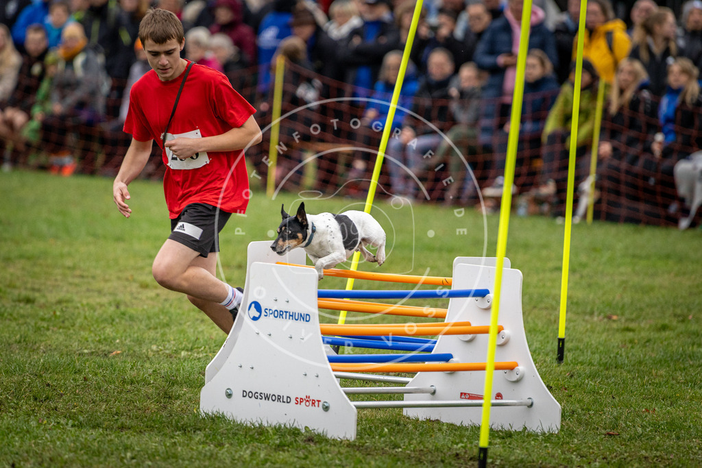 Pfotenfotografie_DV3A0688 | Hundefotografie, Tierfotograf, Pfotenfotografie, Fotoshooting Hund, Hunde Portrait, Hundesport, Hundeportraits, Heideshooting, Hunde, Sportfotograf, Hundefotograf, Turnierhundsport, THS,  - Realisiert mit Pictrs.com