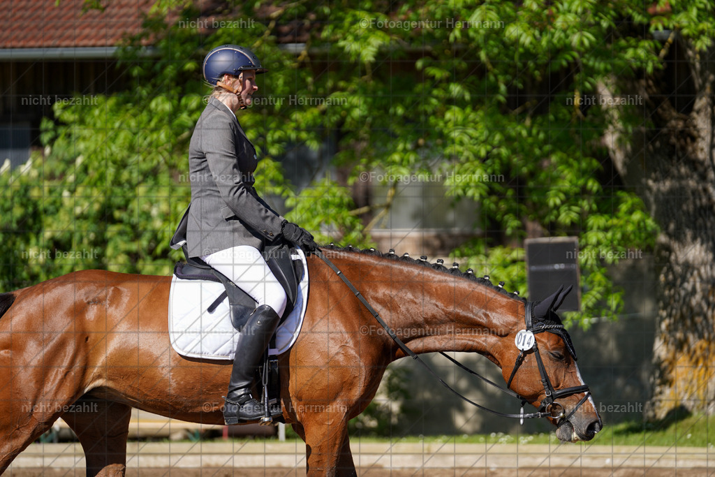 20240519-FAH04575 | Turnierbilder Niederseeon 2024, Vielseitigkeitsdressur, Reitsportbilder aus dem Landkreit Ebersberg, Gut Steinsee, RC Steinsee, Fotoagentur Herrmann