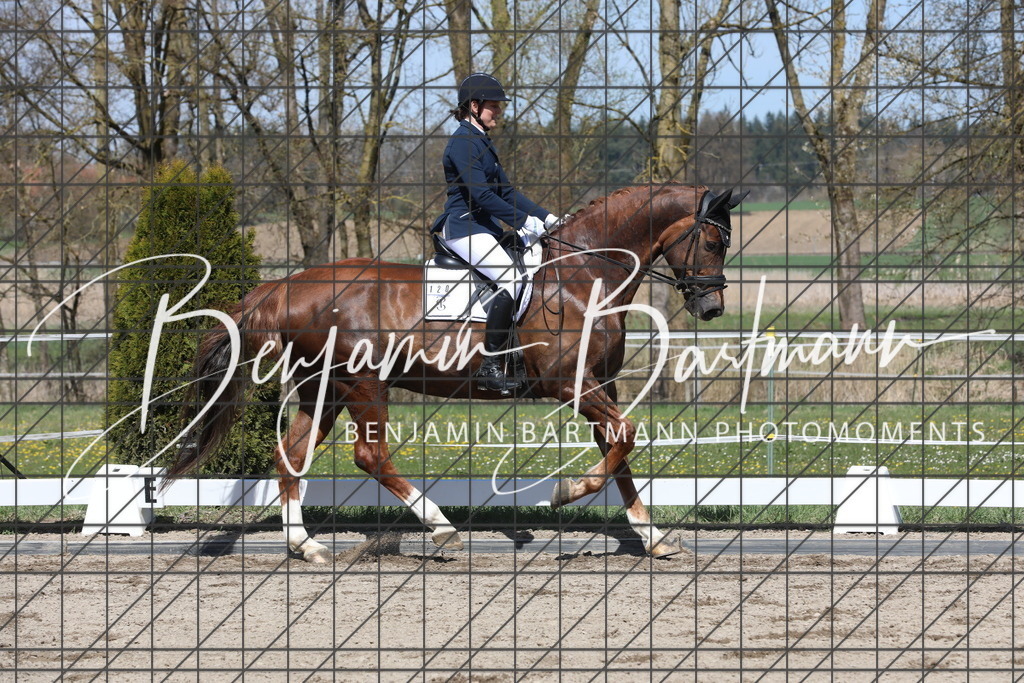 AZ2A5043 | Benjamin Bartmann Photomoments