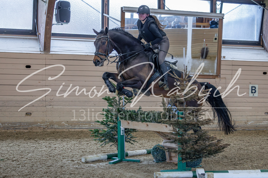 20260222-_3LI1984 | Tierfotografie Pferde, Hunde, Katzen, Haustiere.
Turnierfotografie Reitturniere, Reiten, Springreiten, Dressur in Hanau, dem Main-Kinzig-Kreis und dem Rhein-Main- Gebiet um Frankfurt