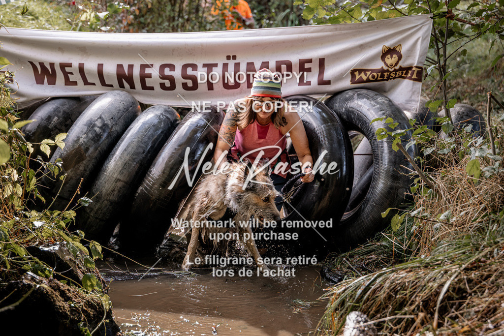 nelerasche_Hunsrück2026_Sa1400-1500_228 | nelerasche