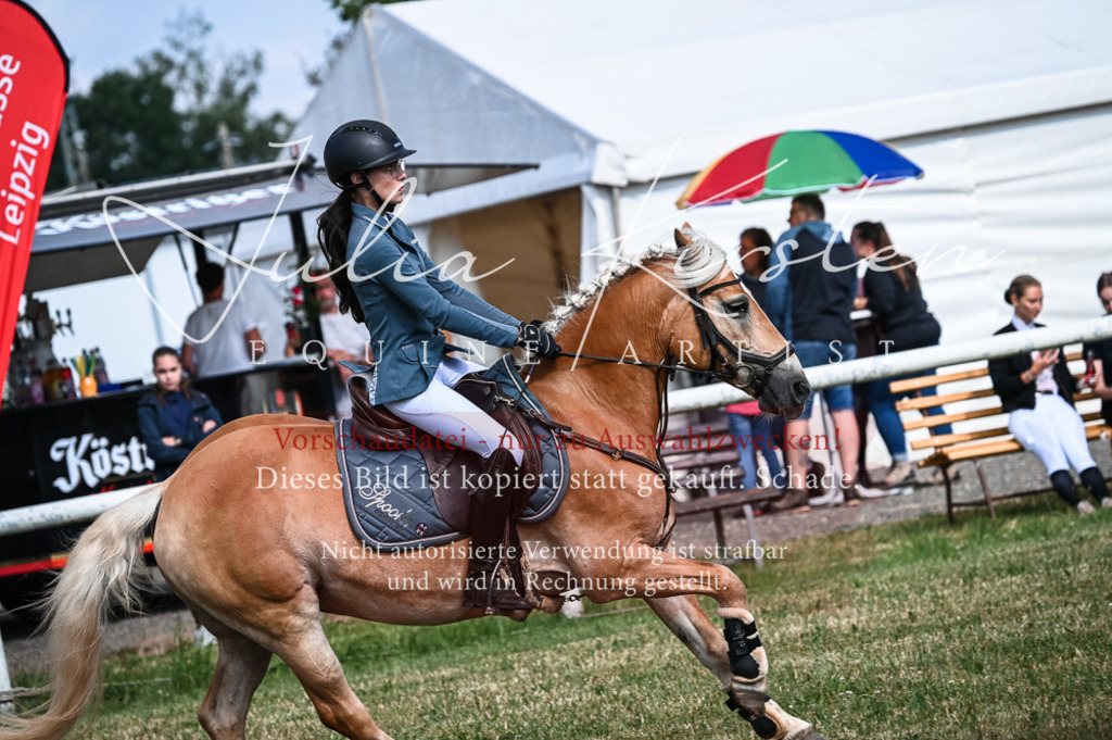 DSC_7922 | Pferde- und Turnierfotografie in Westsachsen. Pferdeportraits, Auftragszeichnungen und intuitive Kunst.