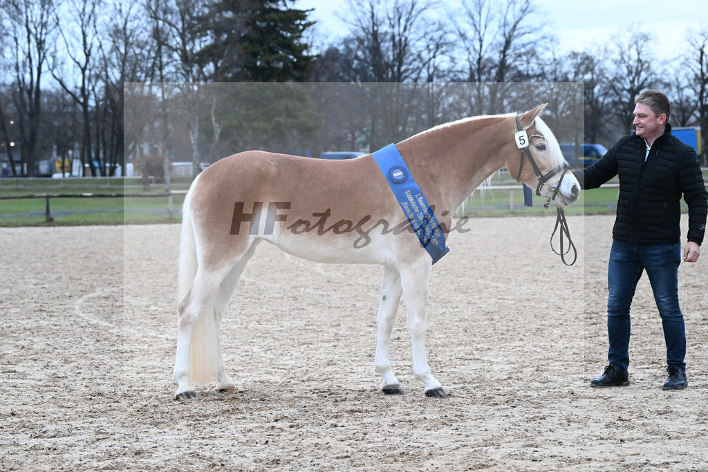 Bl. Band Kat-Nr. 5 Lady Cool v. Wetterstein_Gossner_48251984 | hf-fotografie - Realisiert mit Pictrs.com