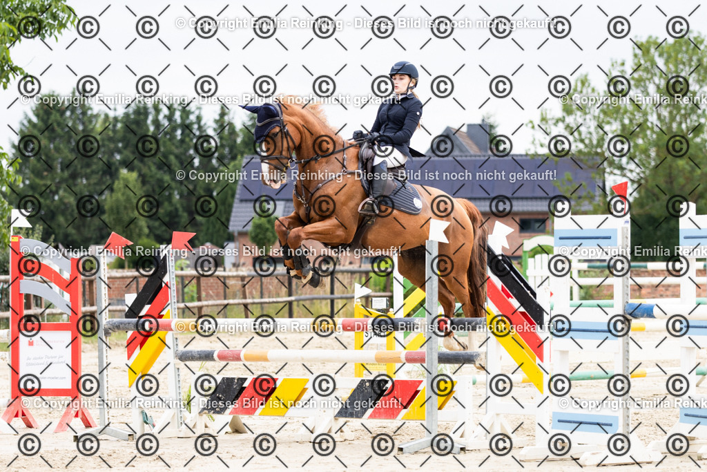 CL5A8204 | Emilia Reinking Fotografie - Realisiert mit Pictrs.com