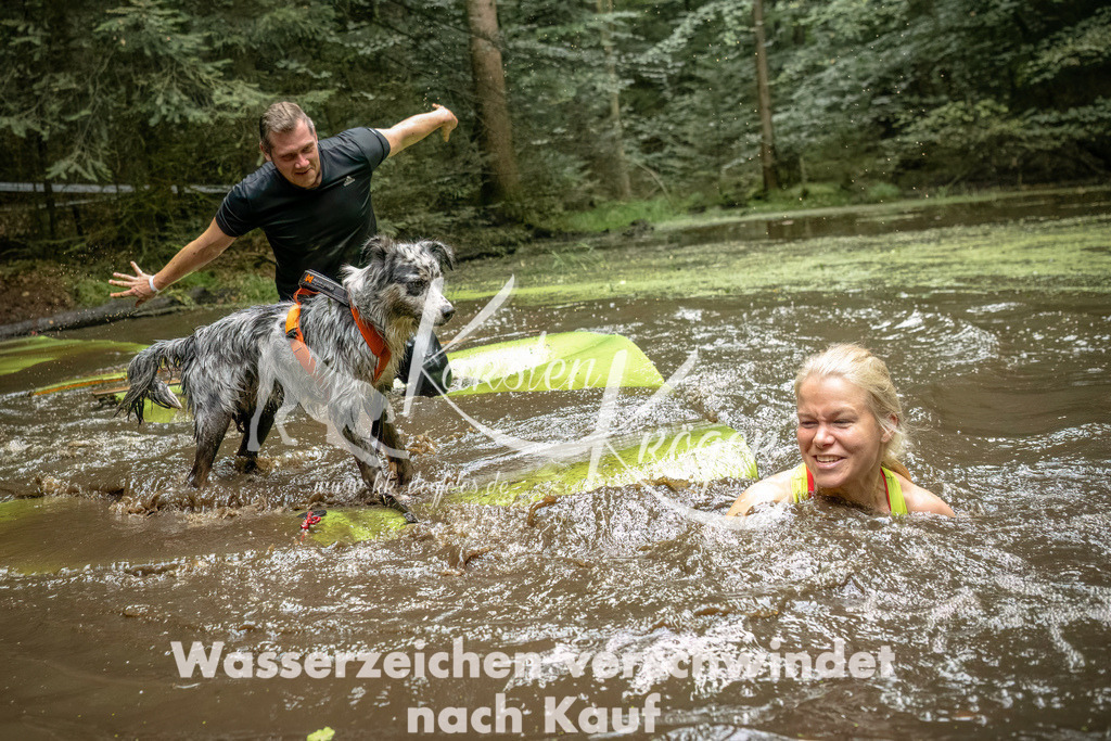 1501_ZZ94406-Bearbeitet | kk-dogfotos