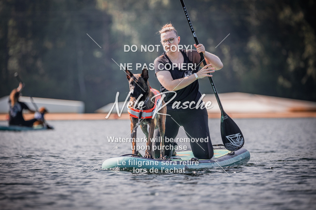 BUHU_SUP_334 | nelerasche