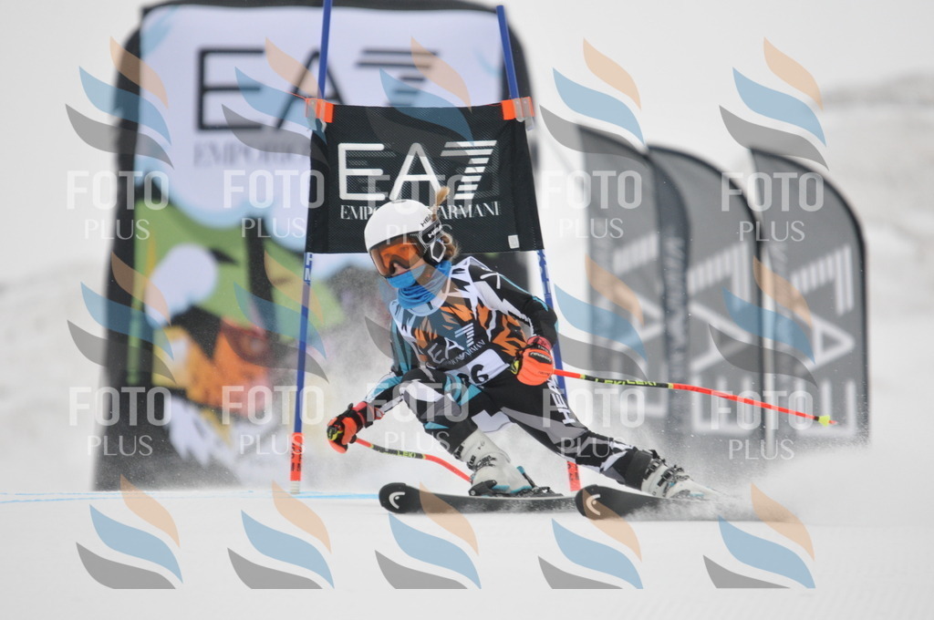 DSC_7591 | holidayphoto