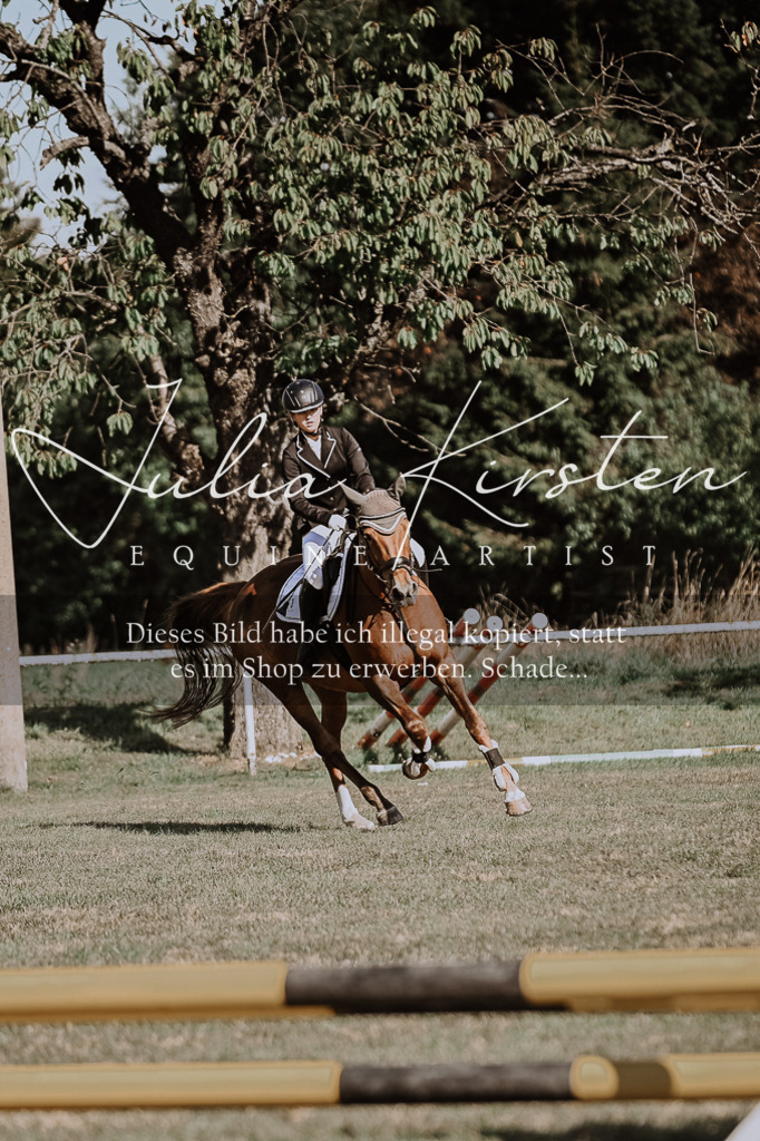DSC_9378 | Pferde- und Turnierfotografie in Westsachsen. Pferdeportraits, Auftragszeichnungen und intuitive Kunst.
