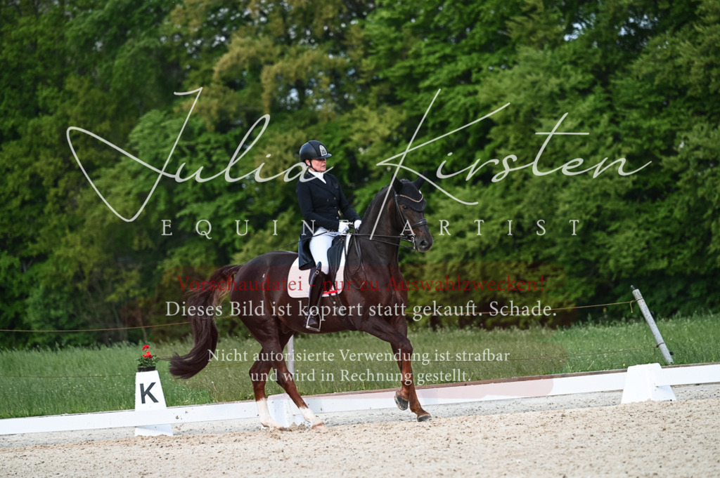 20230513_JK-Röhrsdorf-13-221 | Pferde- und Turnierfotografie in Westsachsen. Pferdeportraits, Auftragszeichnungen und intuitive Kunst.