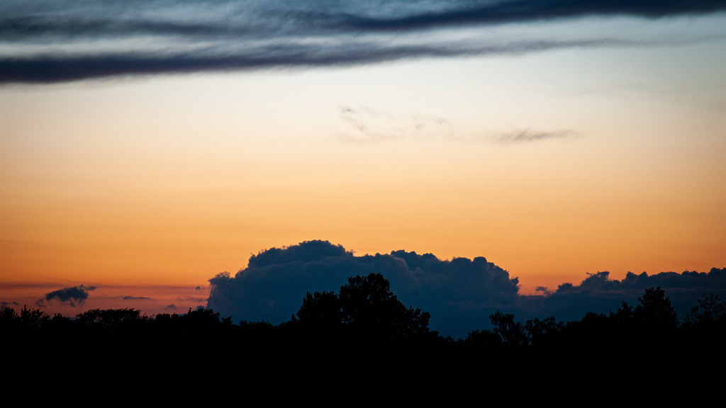 DSC_0429 | kaefersammler_roy - Realisiert mit Pictrs.com