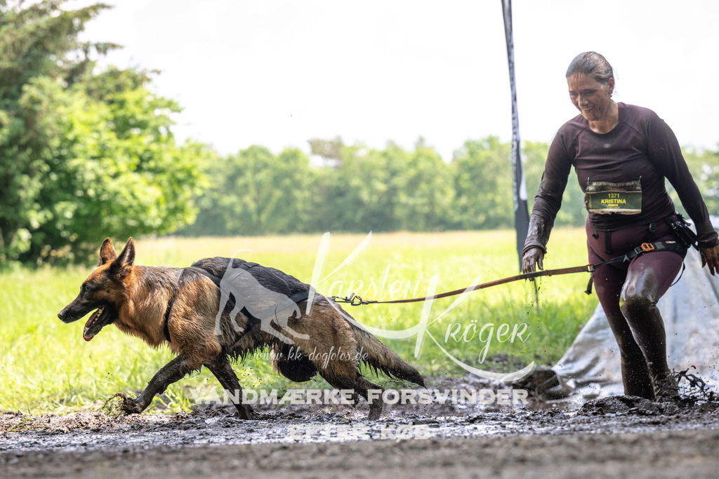1207_ZZ91471 | kk-dogfotos