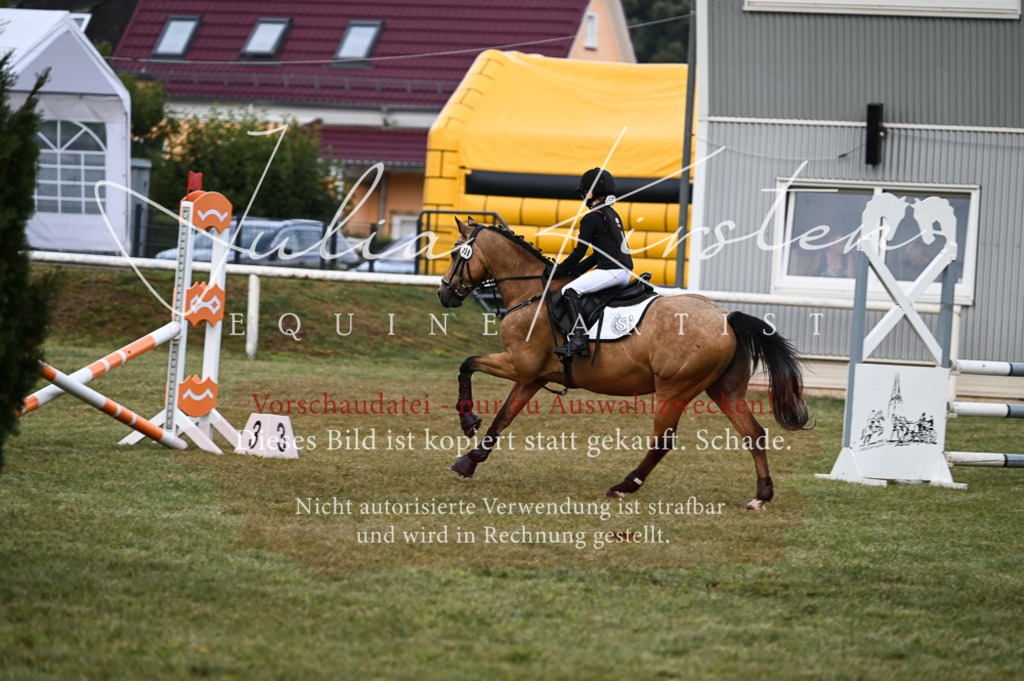 DSC_5612 | Pferde- und Turnierfotografie in Westsachsen. Pferdeportraits, Auftragszeichnungen und intuitive Kunst.